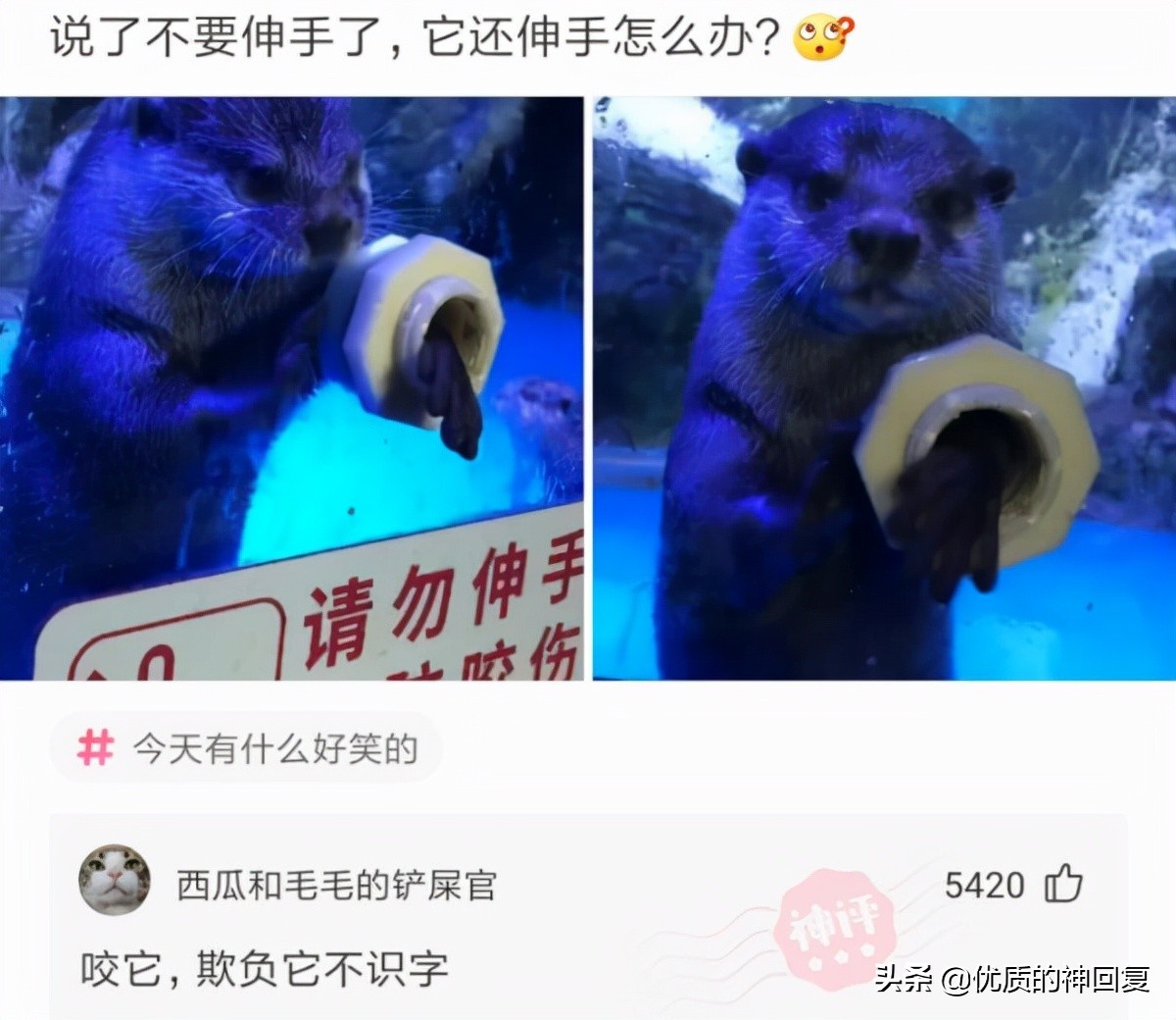 把自己的衣服借给室友穿,千万不要把衣服借给闺蜜