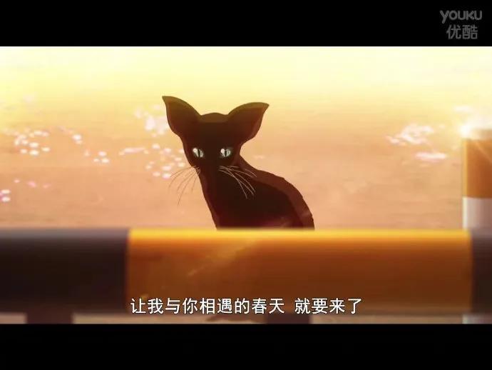 摩根士丹利谈a股,摩根士丹利a股持股最多