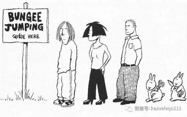 杀死一只兔子的预兆,杀死兔子的方法