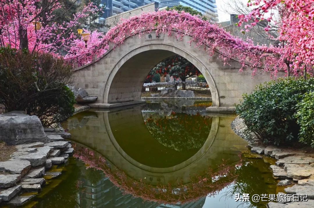 西安大兴善寺求姻缘,西安求姻缘灵验的地方