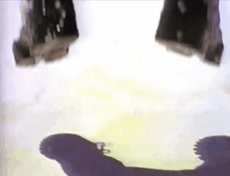 范德彪穿的斐乐,彪哥为什么穿斐乐