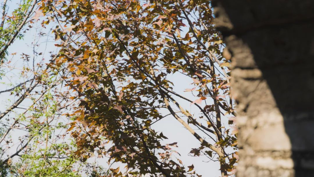 南山景区小长城,深圳藏着的小长城