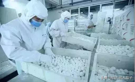 老北京看了想骂人!再招摇撞骗,可真要请您吃老北京大耳帖子了