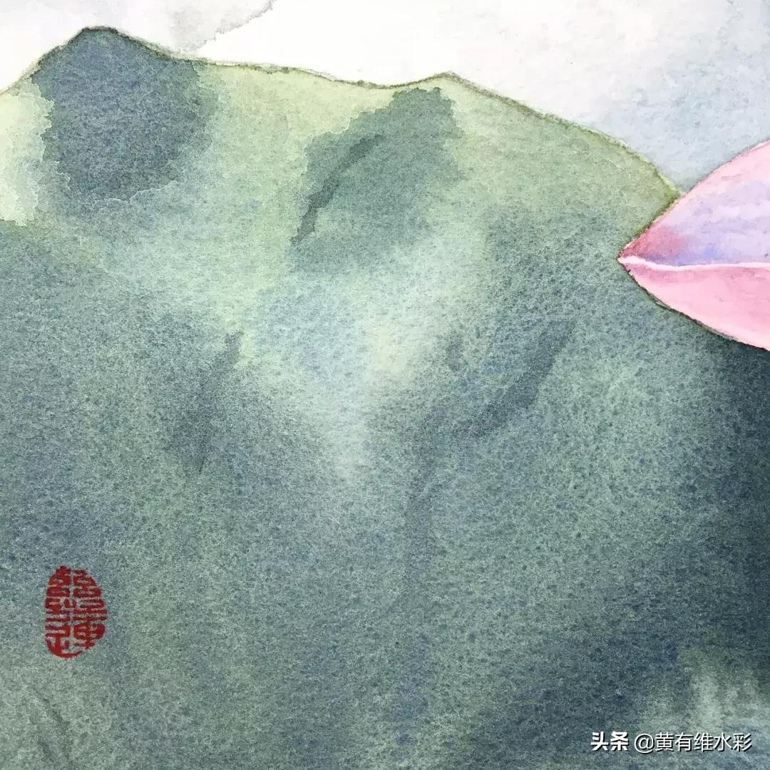 6-12岁荷花简单绘画,procreate荷花水彩教程