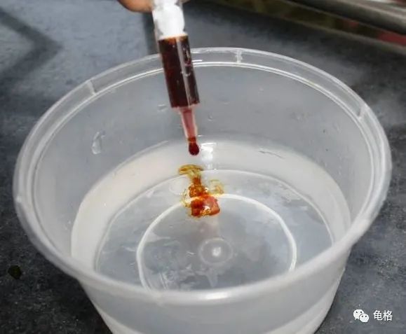 聚维酮碘溶液给乌龟治腐甲怎么用,聚维酮碘乌龟腐皮腐甲使用方法