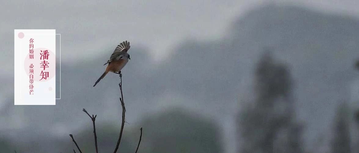 离异女人的艰难再婚之路,二婚女人再婚前的忠告