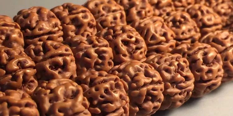 小金刚菩提梅花纹路什么价位,小金刚菩提什么纹路的最好