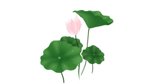 武汉的夏日记忆,非常适合夏天吃的冰爽流心绿豆糕