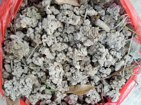 养花旧土怎样变营养土,想养花没有阳台怎么办