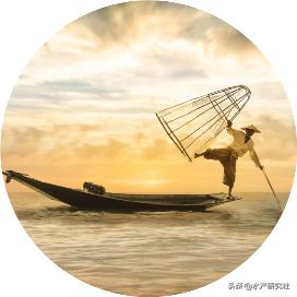 龟鳖养殖疾病治疗,鳖病毒病怎么预防