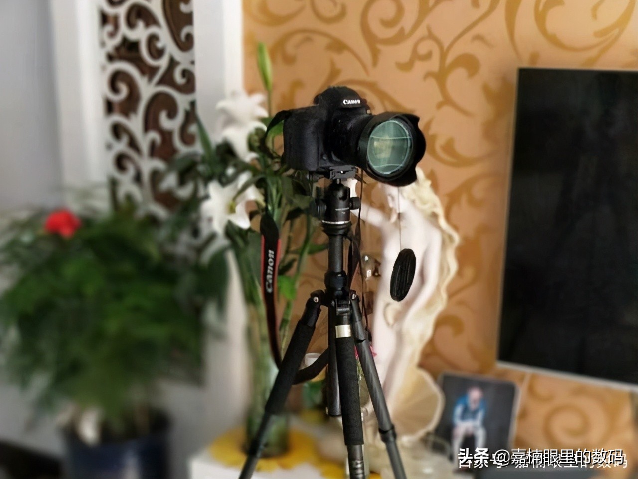 佳能5d4相机优点,佳能5d4爱坏吗