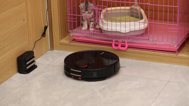 仙女猫专卖店介绍,仙女猫专卖店一览表