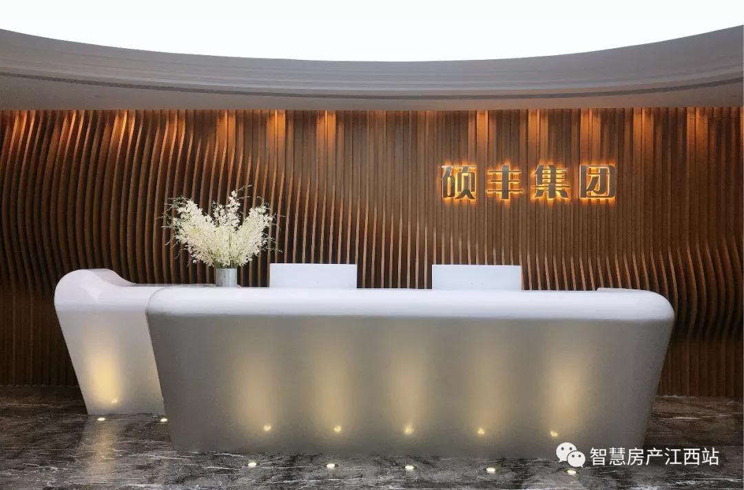 硕丰控股集团怎么样,硕丰集团2023年投资新项目