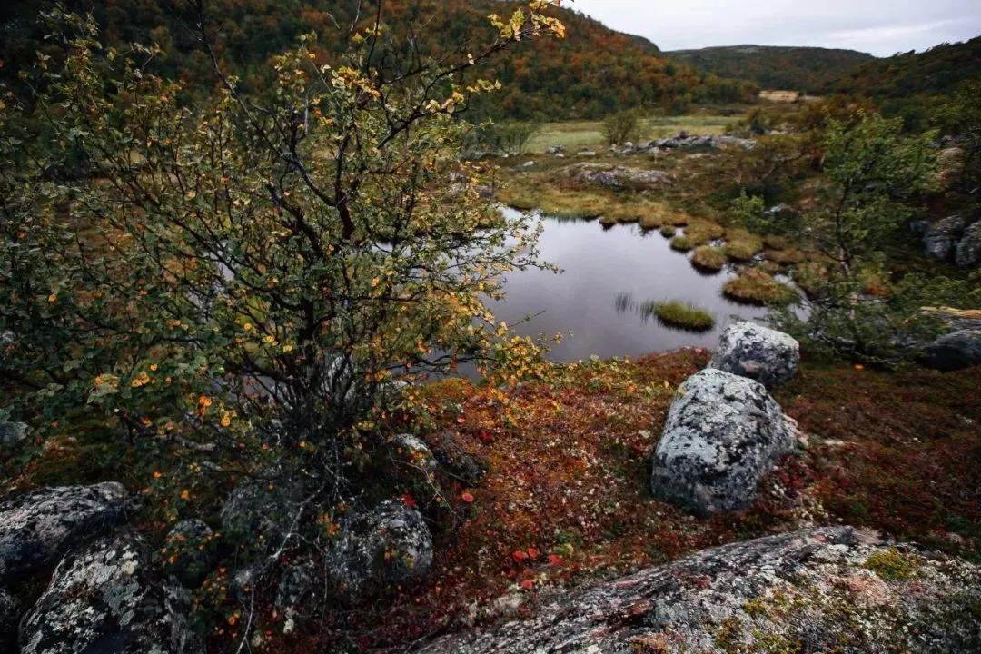 新手小白如何快速入门自媒体写作,自媒体新手怎么入门选什么平台