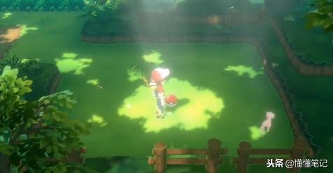 精灵宝可梦不为人知的秘密,精灵宝可梦进化次数最多