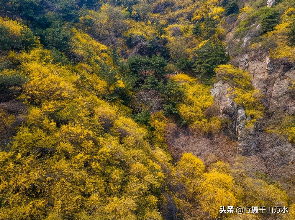 济南徒步爬山推荐免费,济南龙洞徒步登山带你看风景