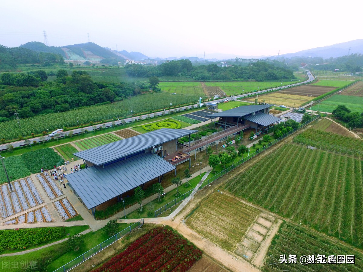 生态农业的优势及前景,生态农业发展存在的问题