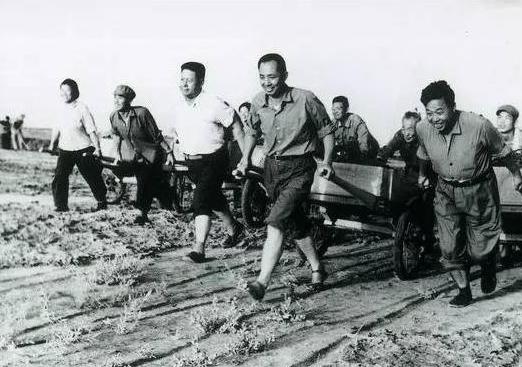 新疆2021年的新棉花,新疆棉花2020