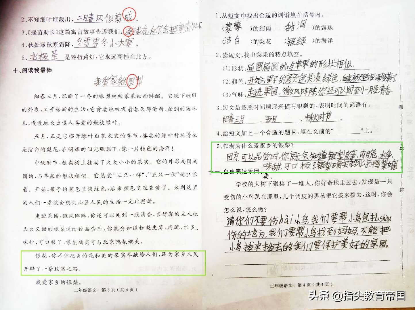 二年级语文看图写话试卷练习,语文二年级期末测试提升卷答案