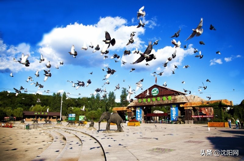 快来选出你心中最美的沈阳景点,沈阳最值得去的十大景点