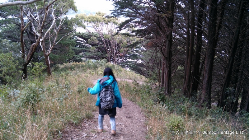 第61回：惠灵顿维多利亚山，蒂帕帕国家博物馆（上）