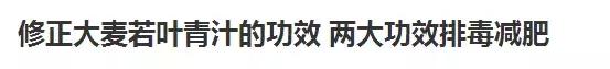 大麦青汁的作用与功效能减肥吗,抹茶味青汁减肥有效吗