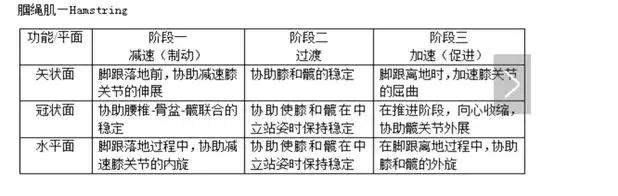 腘绳肌拉伤二级拉伤,腘绳肌拉伤如何判断是肌腱拉伤