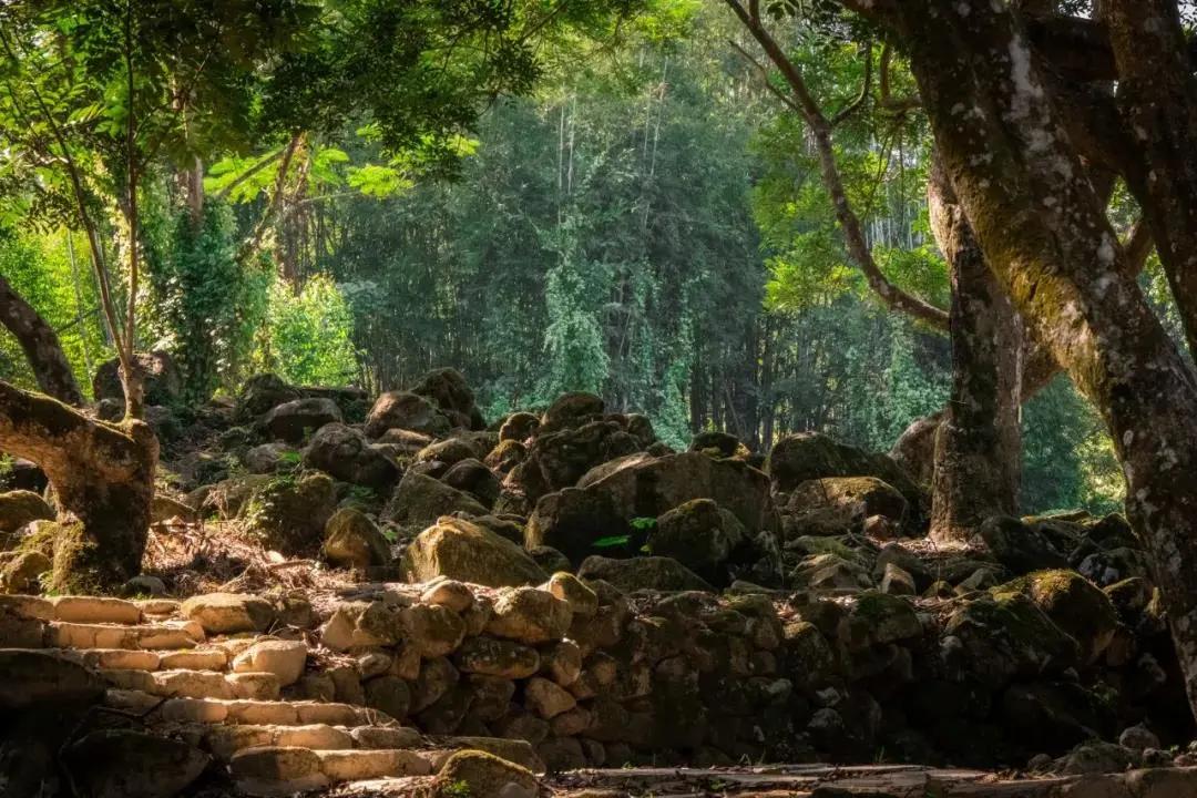 在大山深处幽静绝美的村落,深藏大山中的村落
