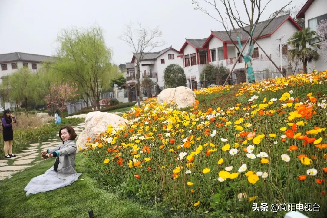 遇见天府雄州|陈新:一道美食映照的修为