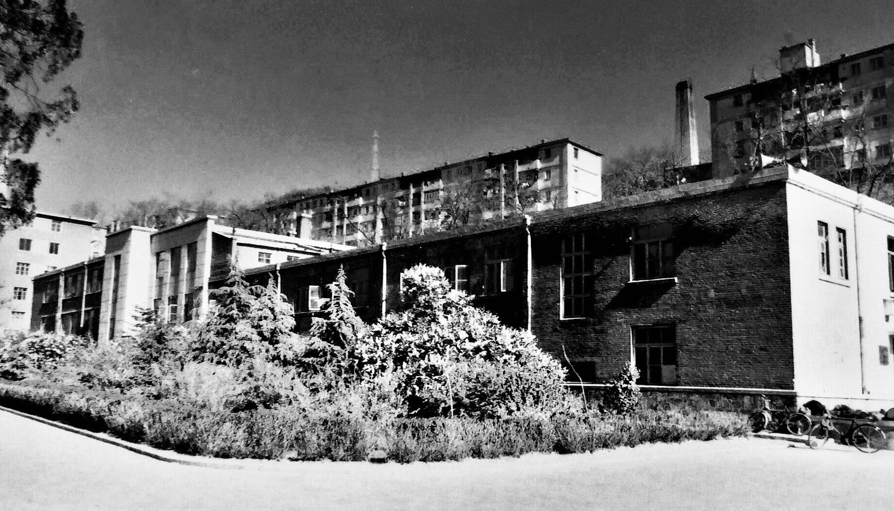 小学难忘的回忆,难忘的小学活作文