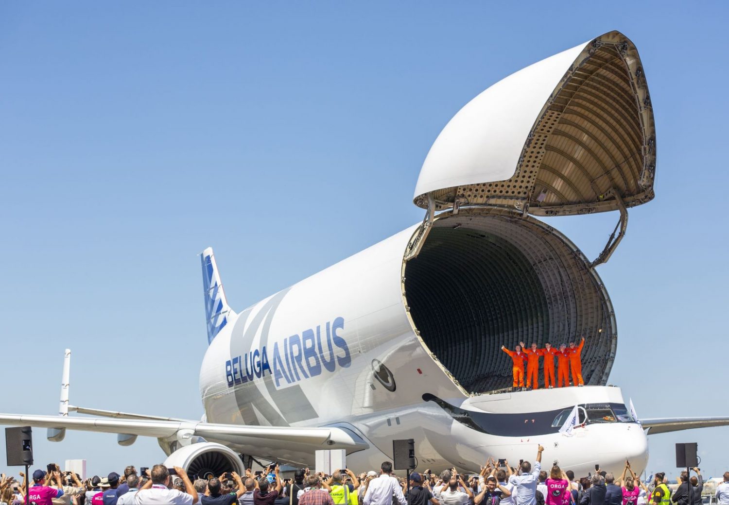 有人说这是最可爱的飞机，真的吗？