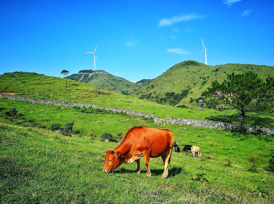 湖南第一家国家石漠公园,中国第一个国家森林公园张家界