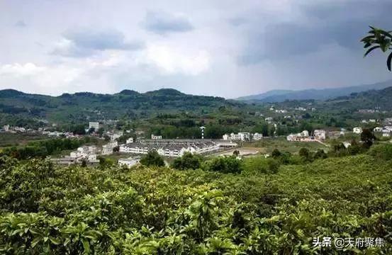 仁寿夏季旅游景区,2020仁寿旅游