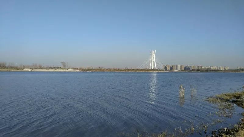 郑州公园里的房子,郑州哪些房子靠谱