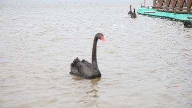 五一黄金周长沙旅游攻略,长沙洋沙湖自驾游攻略