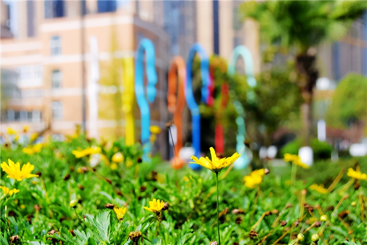 参观成都七中高新校区,成都七中实验学校温江校区