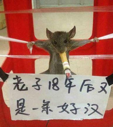 致敬项海王，股生PPT