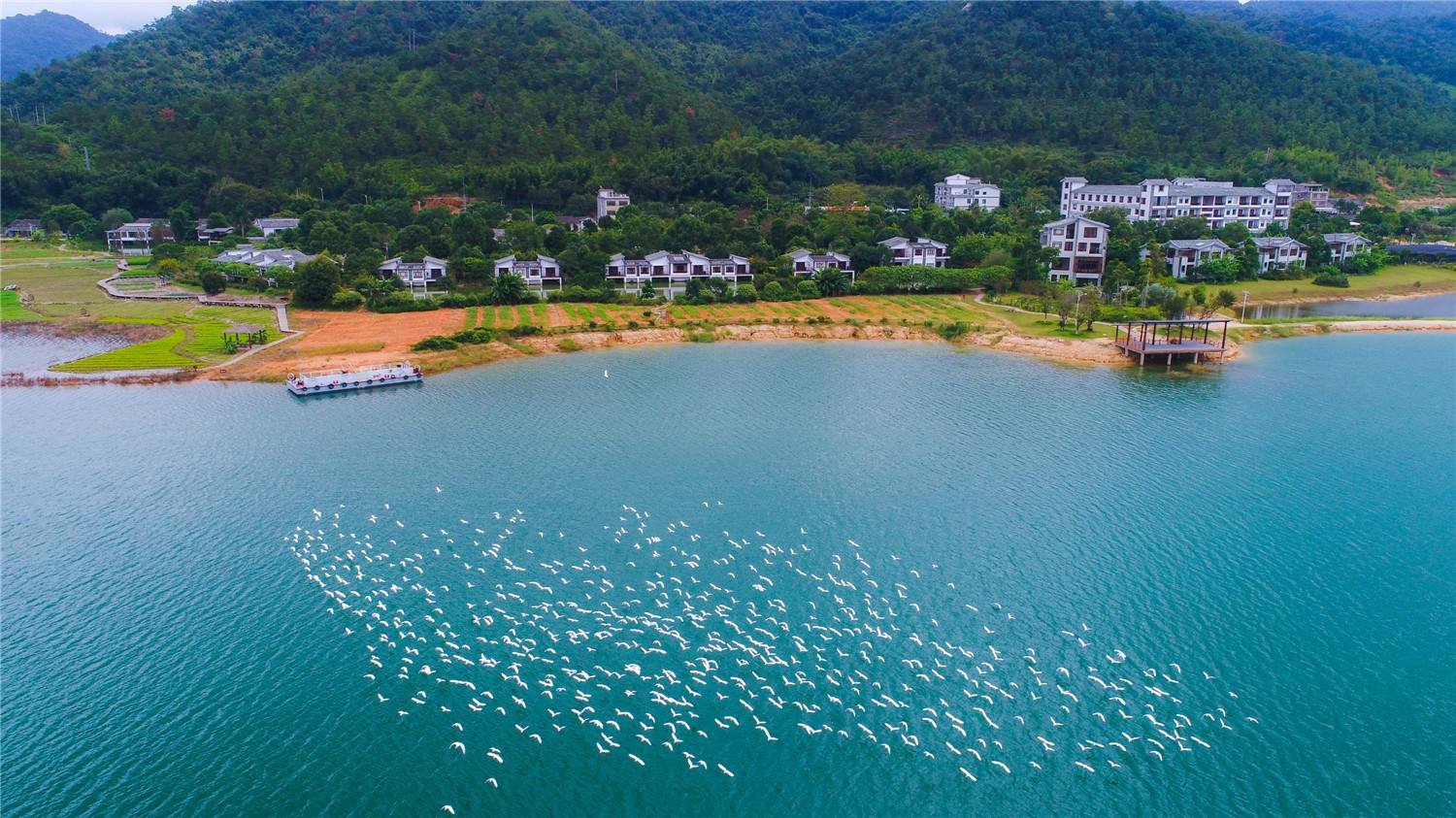 河源万绿湖自驾环湖攻略,广东省河源万绿湖自驾游攻略