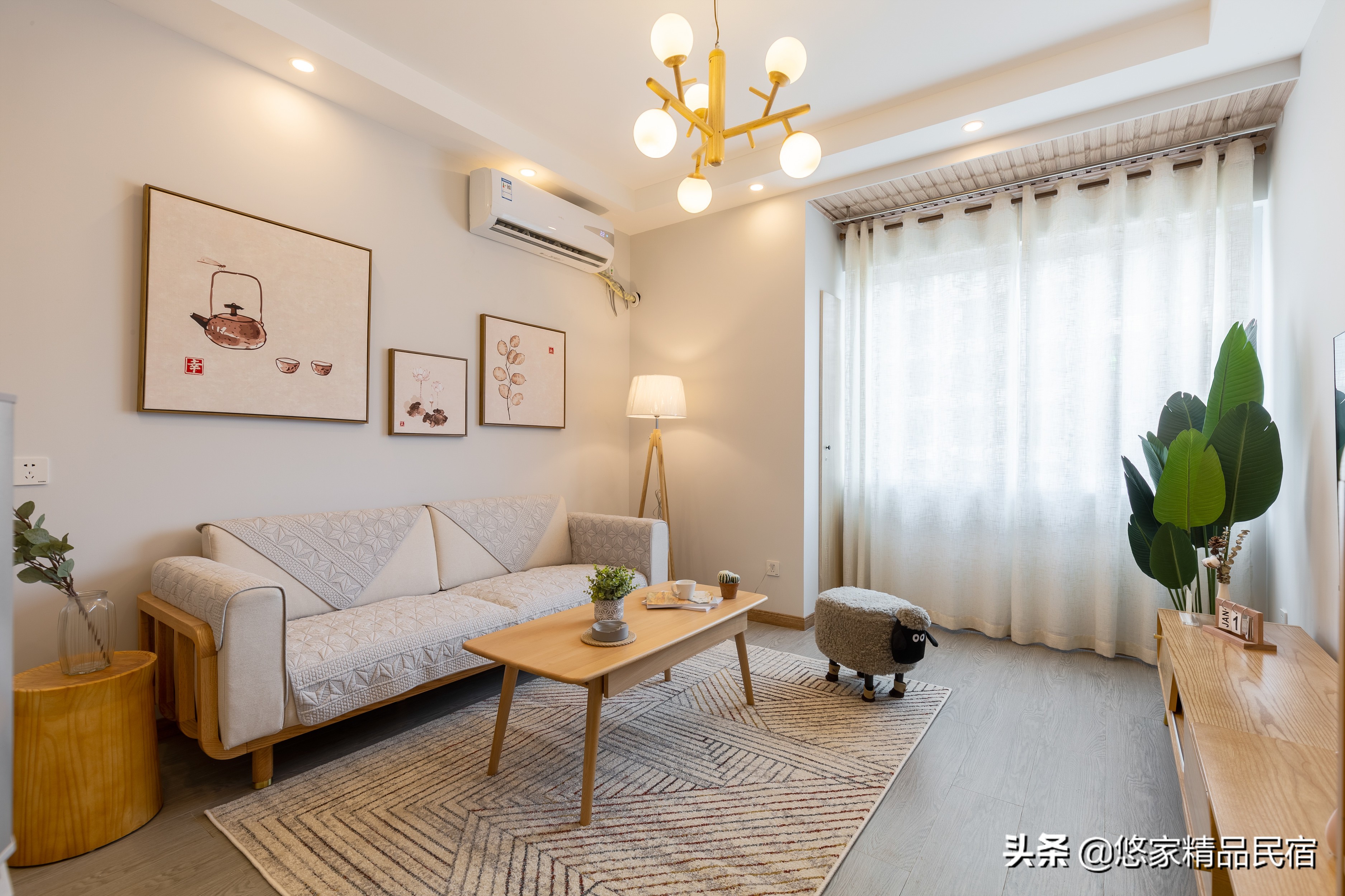 悠家民宿未来发展,后民宿