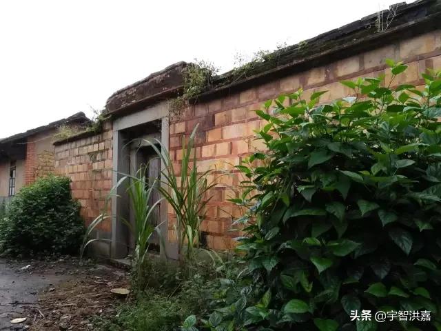福建漳州平和霞寨抖音,漳州平和县霞寨