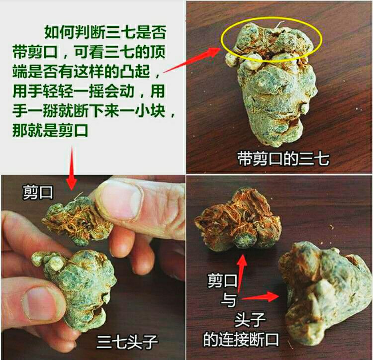 当归尾是止血还是活血,中药中的当归和当归头哪个好一些