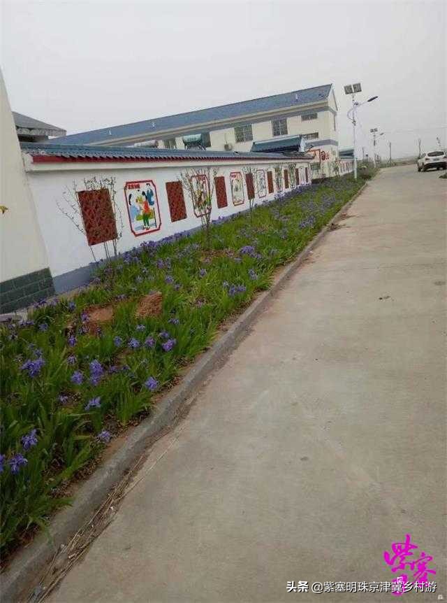 人间六月天，来海岛许一场似水流年——唐山乐亭韩姐农家院