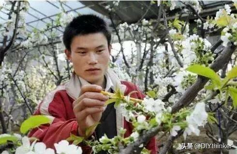 农村最赚钱的四大项目,农村冷门好项目有哪些呢