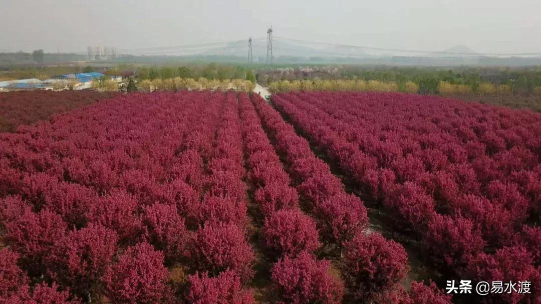 岁月安好,时光静好!愿在易县,与你共赴终老!