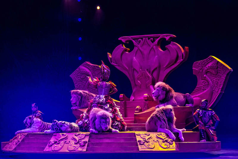 玩转广州长隆野生动物世界之行,广州长隆动物世界游玩攻略图