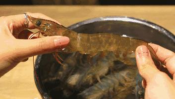 基围虾明虾对虾怎么区别,明虾和基围虾海白虾