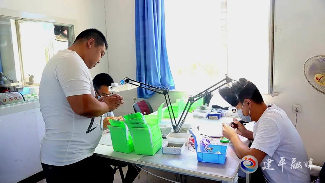 农村能人助力乡村振兴方案,乡村振兴培育致富带头人