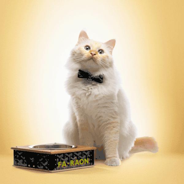 华丽志品牌女鞋,华丽志数据