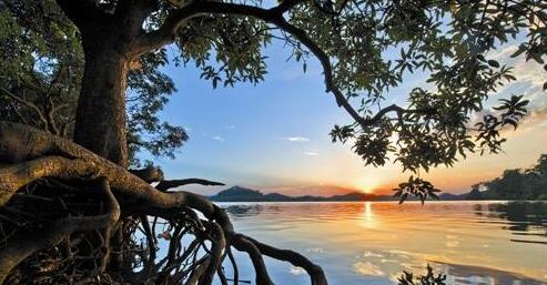 眼一生视力矫正加盟,眼一生视光中心加盟费用