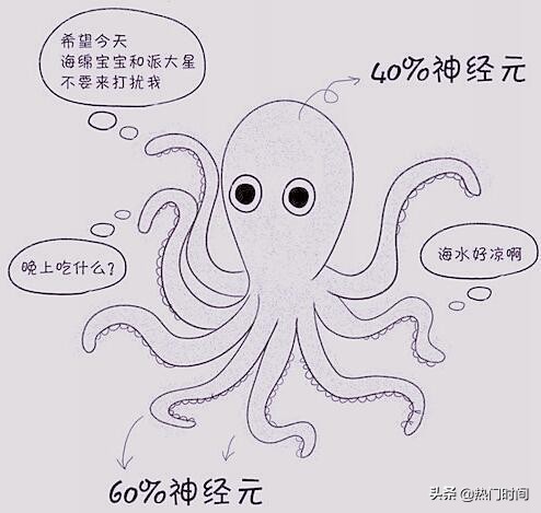 章鱼为什么会被称为外星动物,章鱼果真是外星生物吗